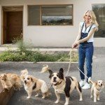 Adjustable Ultrasonic Dog Whistle 2-Pack