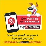 Purina Beggin' Strips Bacon Flavor Dog Treats
