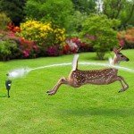 Motion Activated Sprinkler for Yard Protection