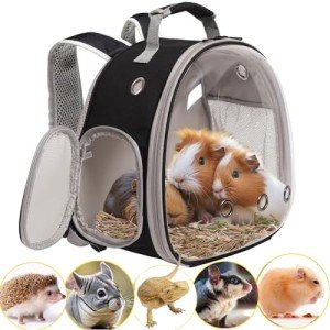 Small Animal Travel Backpack with Bubble Window