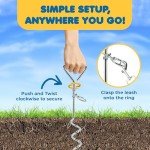 Heavy-Duty Dog Tie Out Stake with Swivel Ring