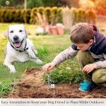 Heavy-Duty Dog Tie Out Stake with Swivel Ring