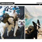 OneTigris Dog Backpack for Camping and Hiking