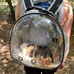 Small Animal Travel Backpack with Bubble Window