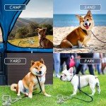 Heavy Duty Dog Tie Out Stake with 360° Handle