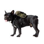OneTigris Dog Backpack for Camping and Hiking