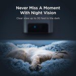 Interactive Pet Monitoring Camera and Treat Dispenser