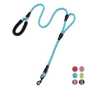 Light Blue 6ft Double Handle Dog Leash