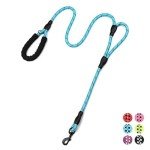 Light Blue 6ft Double Handle Dog Leash
