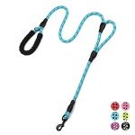 Light Blue 6ft Double Handle Dog Leash