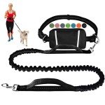 Hands-Free Dog Leash with Zippered Pouch