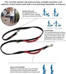HALTI Double-Ended Control Leash for Dogs