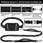 Hands-Free Dog Leash with Zippered Pouch