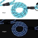 Light Blue 6ft Double Handle Dog Leash