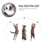 Interactive Pet Camera with Laser & Night Vision