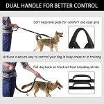 Hands-Free Dog Leash with Zippered Pouch
