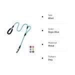 Light Blue 6ft Double Handle Dog Leash
