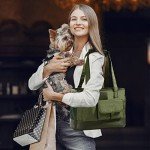 Foldable Waterproof Pet Carrier Bag in Green