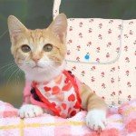 Floral Pet Sling Carrier for Small Dogs & Cats