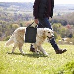 Soft Support Harness for Dogs - Leg Aid