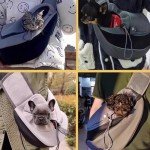 Adjustable Dog Sling Carrier with Storage Pocket
