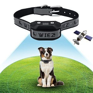 WIEZ Wireless Dog Fence System with GPS Collar