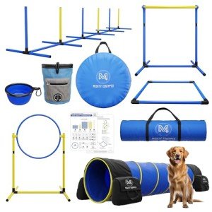 Portable Dog Agility Course with Tunnel and Jumps