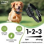 WIEZ Wireless Dog Fence System with GPS Collar