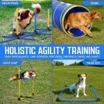 Portable Dog Agility Course with Tunnel and Jumps