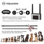 Wireless Dog Fence System for Two Dogs
