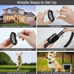 Wireless Dog Fence System for Two Dogs
