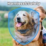 WIEZ Wireless Dog Fence System with GPS Collar