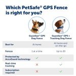 PetSafe GPS Dog Fence – No Subscription Needed