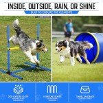 Portable Dog Agility Course with Tunnel and Jumps