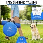 Portable Dog Agility Course with Tunnel and Jumps
