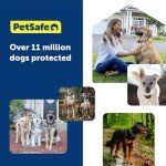 PetSafe GPS Dog Fence – No Subscription Needed