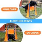 SparklyPets Dog Agility Training Course Equipment