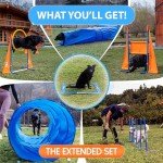 SparklyPets Dog Agility Training Course Equipment