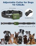 Rechargeable Waterproof Dog Training Collar with Remote