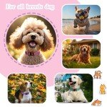 2 Pack Soft Reflective Dog Collars for All Sizes