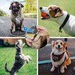 Petiddy Adjustable Ultrasonic Dog Whistle Set