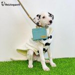 Pocket-Sized Dog Treat Pouch for Training