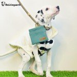 Pocket-Sized Dog Treat Pouch for Training