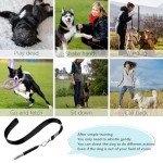 Ultrasonic Dog Whistle Training Set - 2 Pack