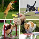 Ultrasonic Dog Whistle Training Set - 2 Pack