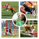 DIZU Adjustable Dog Training Whistle Set