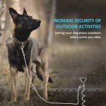 WePet Durable Dog Tie-Out Stake - 16 Inch