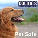 Organic Cat Repellent Spray for Outdoor Use