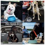 Spill-Proof Collapsible Dog Water Bowl 24oz