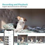 2K HD Pet Camera with Night Vision & App